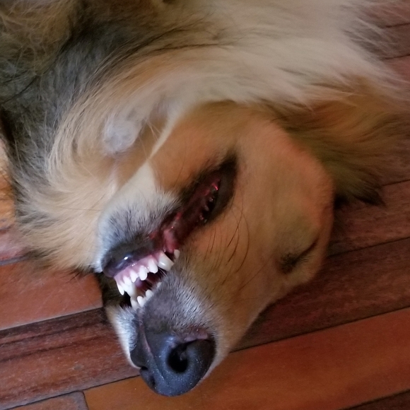 PLSreadBEFOREbuying! - Picture 10 of 13